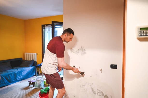 Best Toxic Mold Removal  in Little Falls, MN